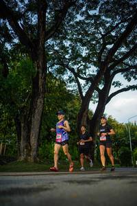 BIB: 
                            <button type="button" onclick="openModal(26551001)" class="btn btn-primary btn-sm float-right btn-popup" data-toggle="modal" data-target=".modal-high-quality">
                        <i class="fas fa-shopping-cart"></i> Add to Cart
                    </button>
                                            <button type="button" onclick="isThisMe(26551001, true)" class="btn btn-success btn-sm float-right btn-popup btn-isme hidden" data-toggle="tooltip" data-placement="bottom" title="นี่คือรูปของคุณใช่ไหม คลิกที่นี่เพื่อเอาเข้าอัลบั้ม">
                        <i class="fas fa-plus"></i> Add to album
                    </button>
                    <button type="button" onclick="isThisMe(26551001, false)" class="btn btn-warning btn-sm float-right btn-popup btn-isnotme hidden">
                        <i class="fas fa-ban"></i> Remove from album
                    </button>